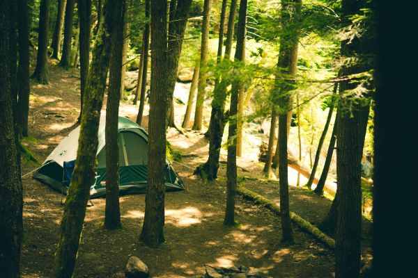 Camping Sable Viginier : vacances familiales au coeur de la nature